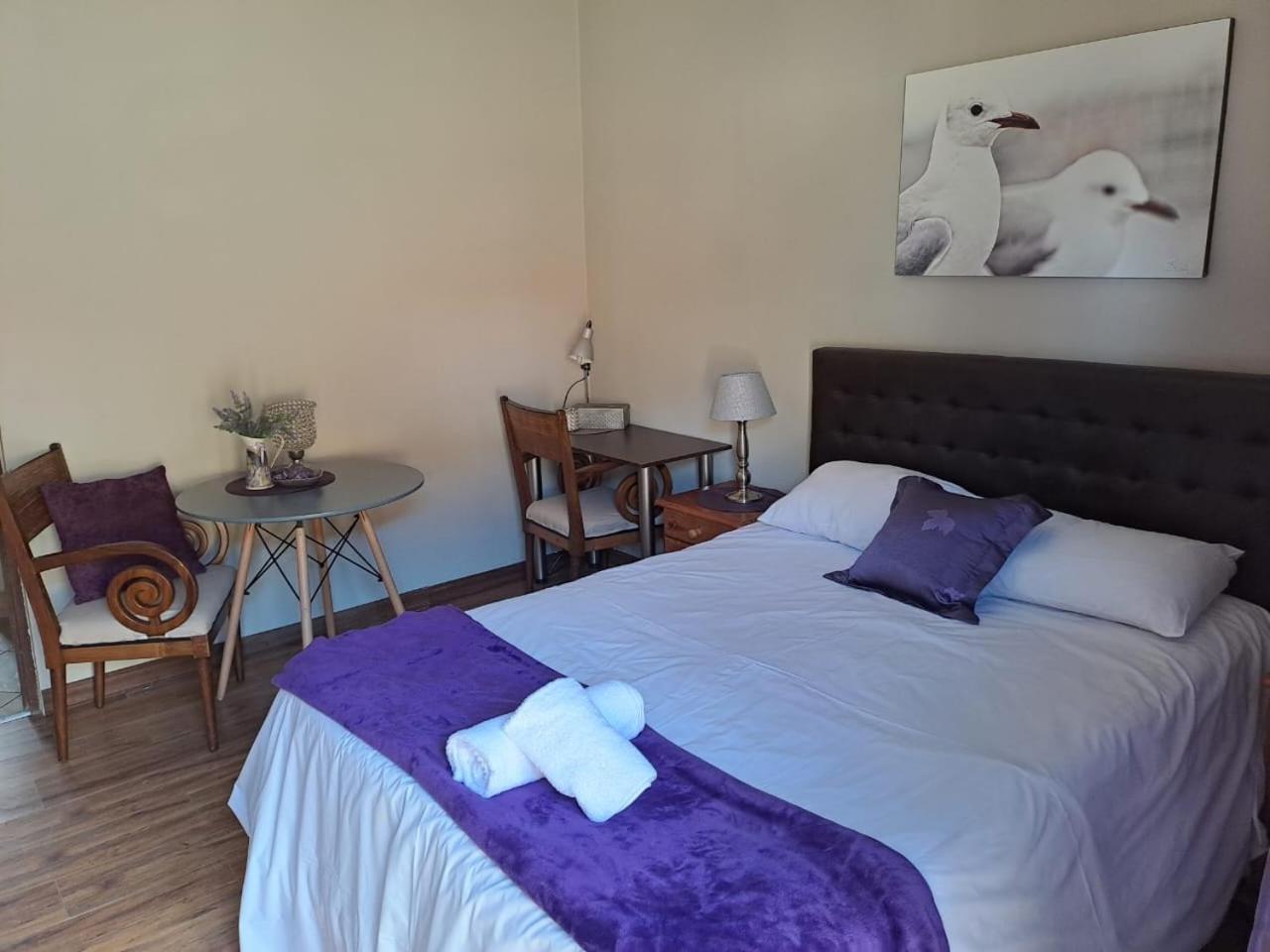 24 Onvrey Guest House Boksburg Esterno foto
